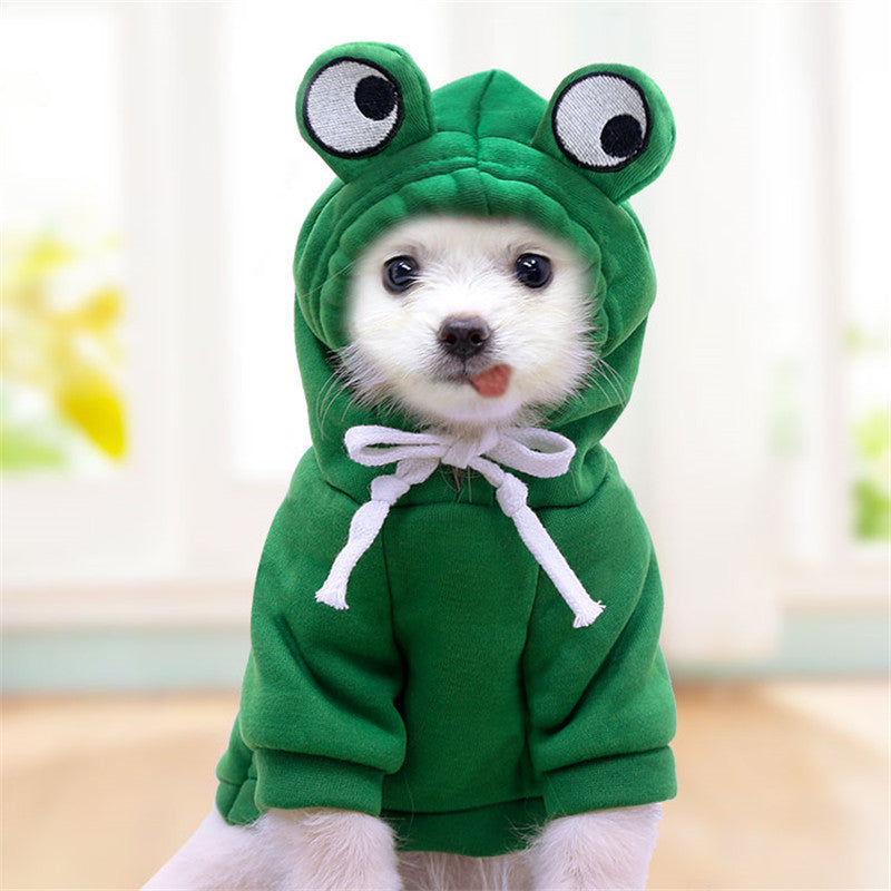 Funky Frog Doggo costume