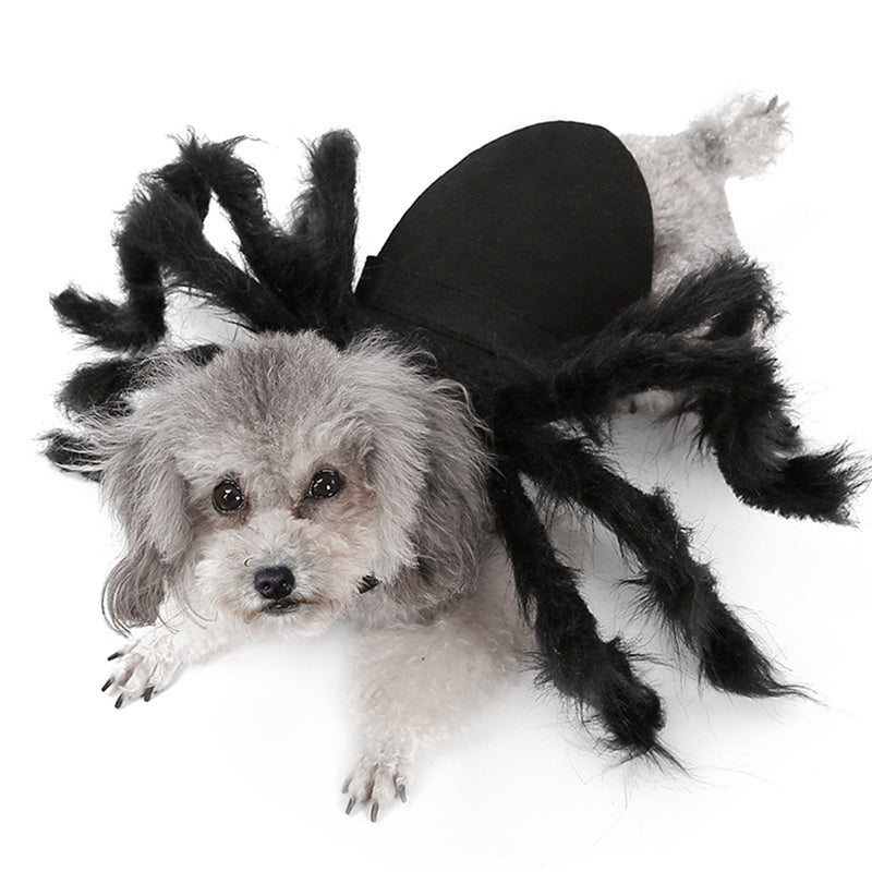 Halloween Doggo spider costume