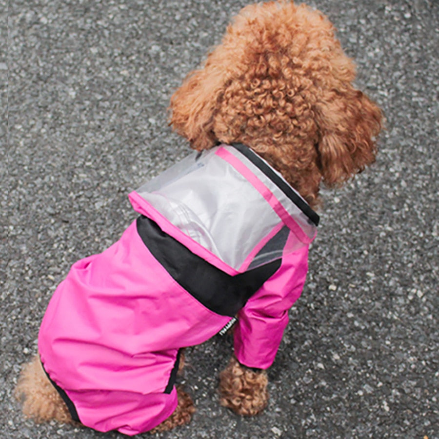 Doggo raincoat