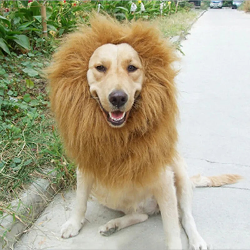 Cool Lion Doggo costume