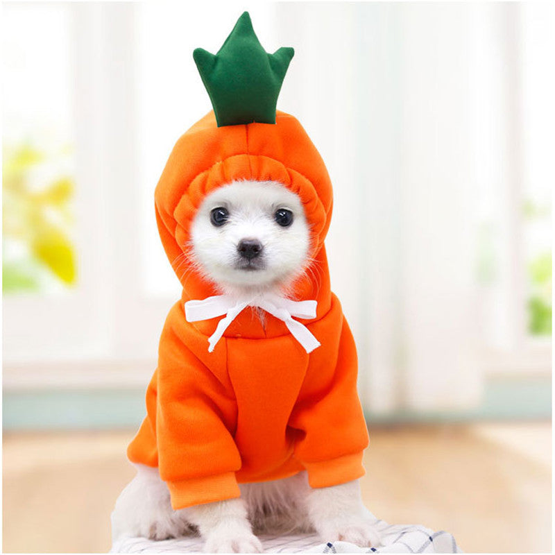 Funky Carrot Doggo costume