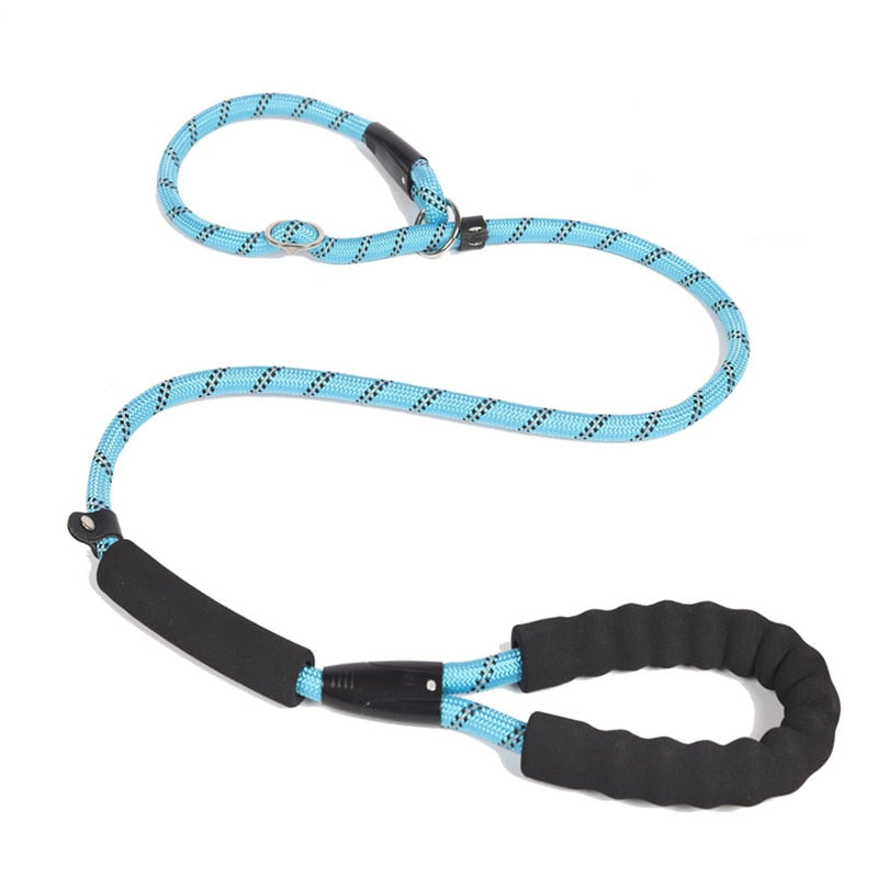 Doggo outdoor training leash