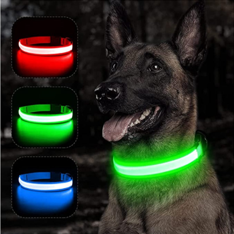 LED luminous Doggo collar