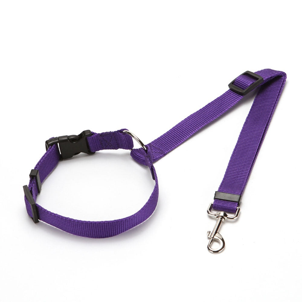 Doggo safety carseat belt