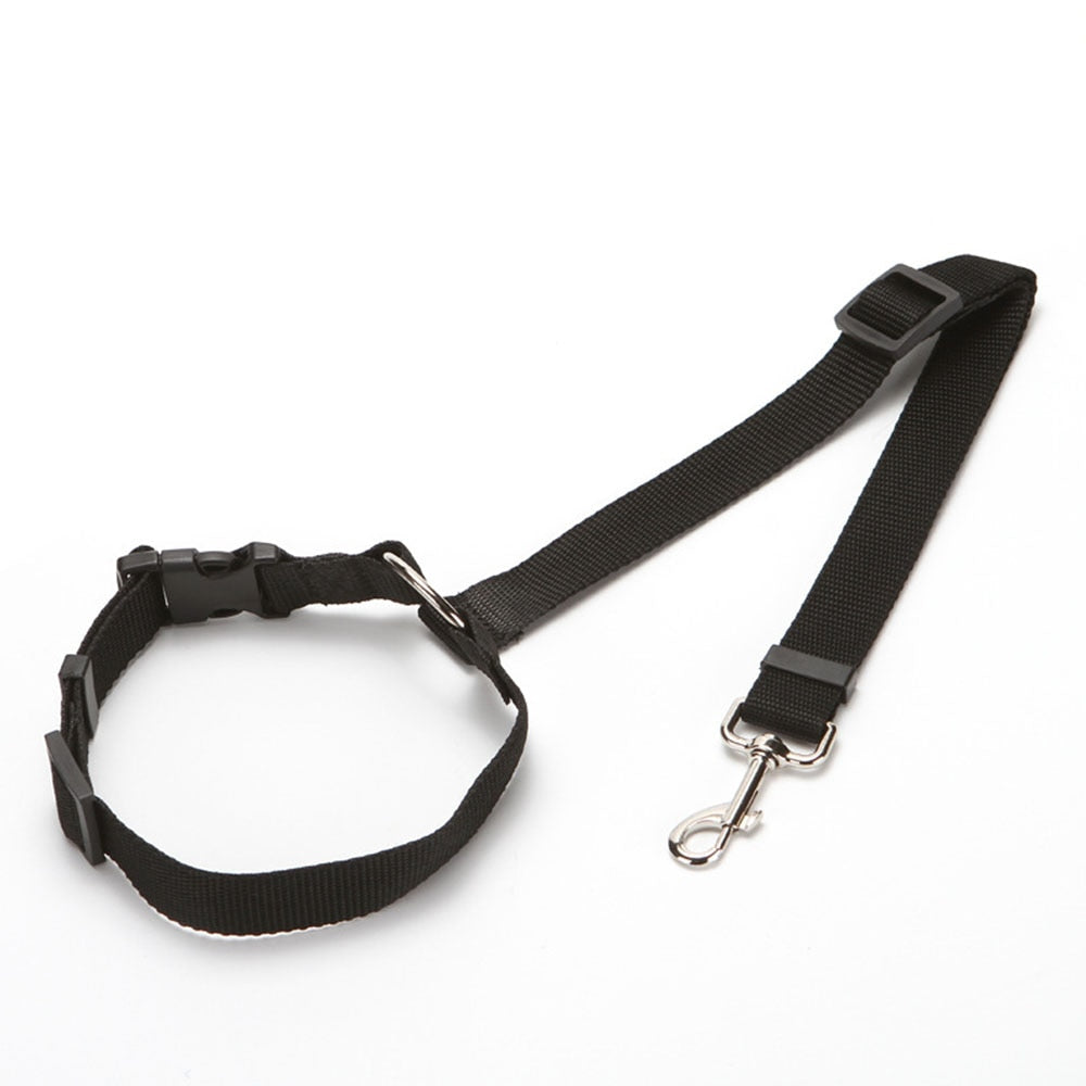 Doggo safety carseat belt