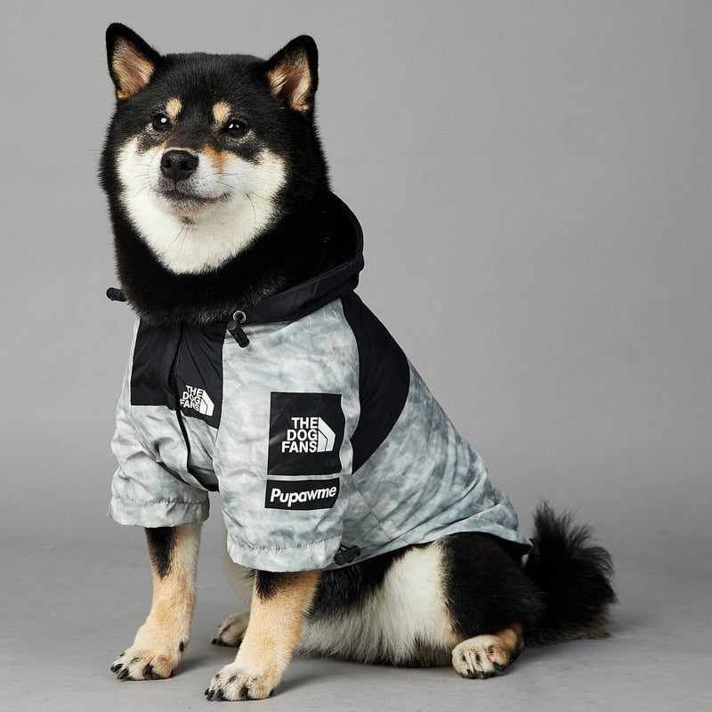 Coolest Doggo waterproof jacket