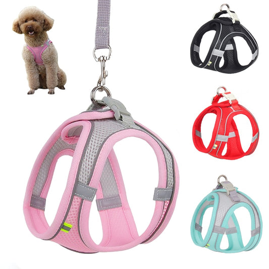 Doggo harness leash