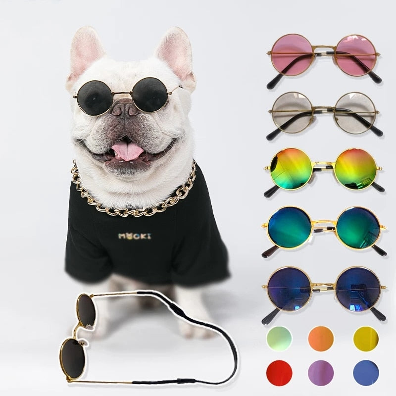 Head-turner Doggo sunglasses